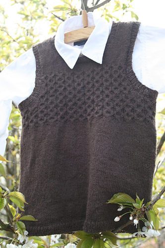 Guttevest