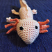 Axolotl photo 3