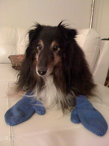Kid's Mittens