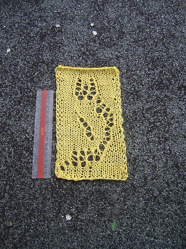 Small Lace Cat