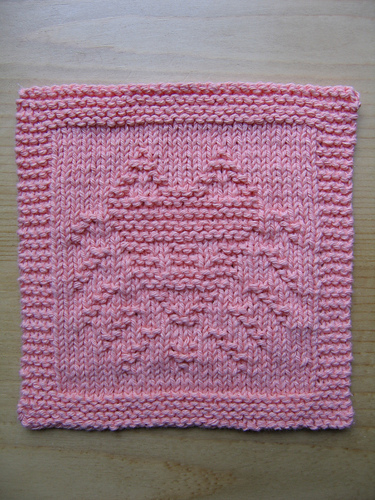 Pomeranian Portrait Dishcloth