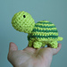 Tiny Striped Turtle photo 3