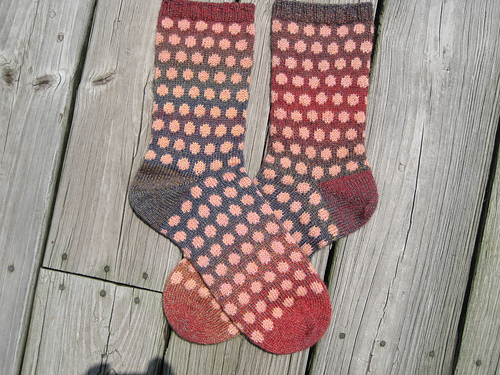 Spottie Dottie Socks