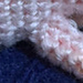 Axolotl photo 4