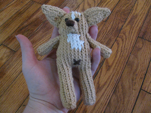 Chihuahua