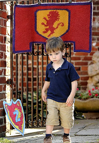 Castle Banner/Valance