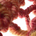 One Row Lace Scarf photo 3