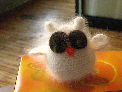 Small Owl