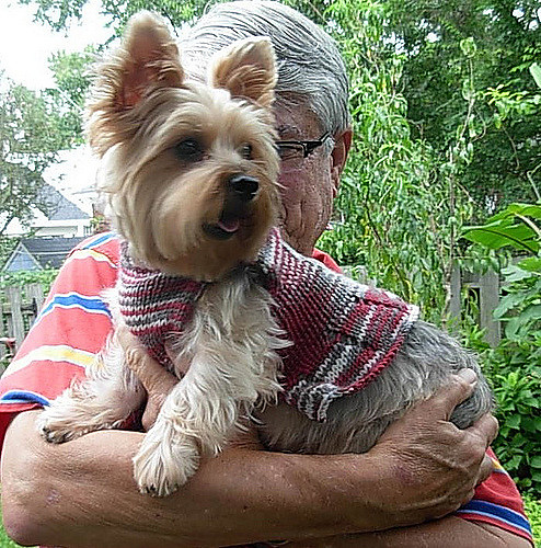 Pup Squad Dog Sweater photo 2
