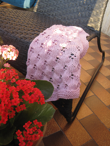 Allegra's Cover photo 7