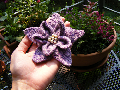 Heliotrope Flower Brooch