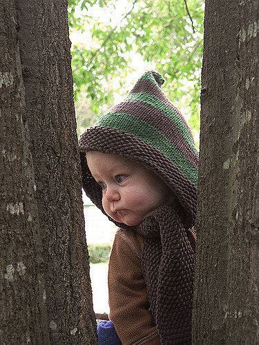 Harper's Hood