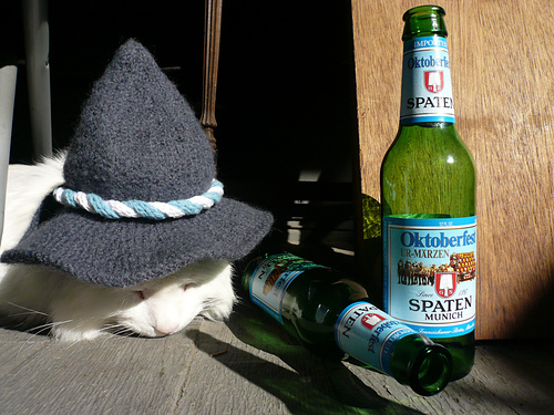 International Cat Hat: Germany, Ein Prosit photo 2