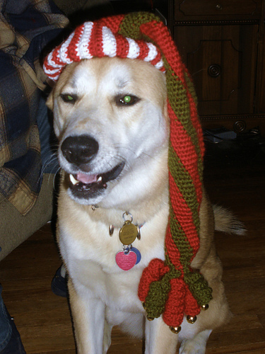 Elf Hat