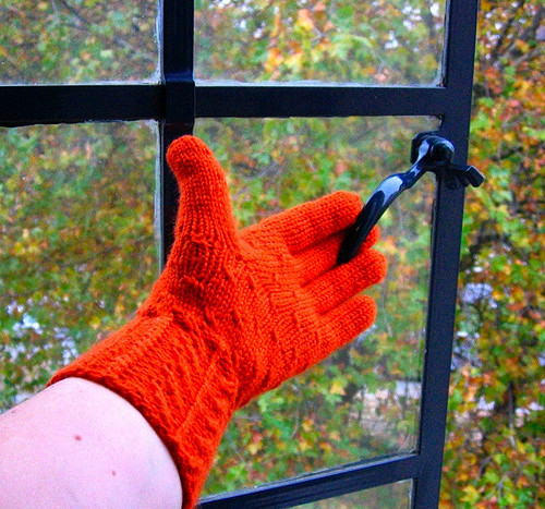 It's a Beautiful Day Gloves