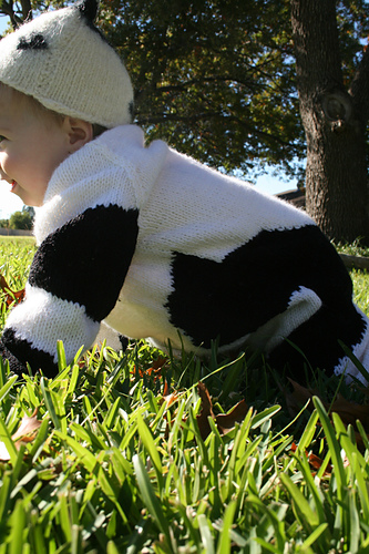 Cow Suit