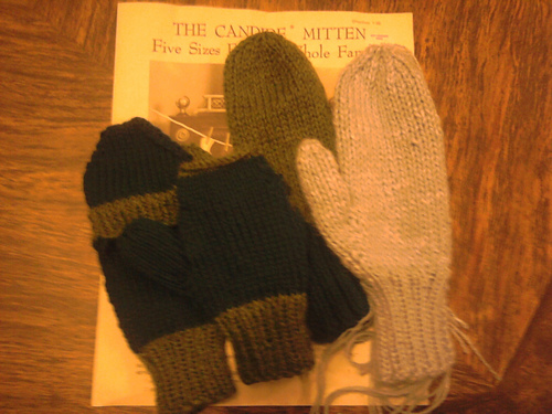 The Candide Mitten