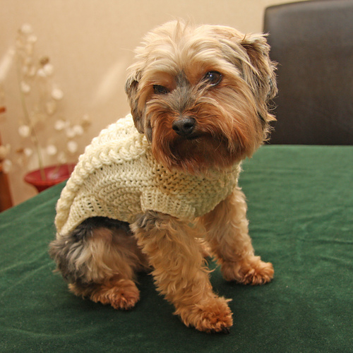 Rover Cover
