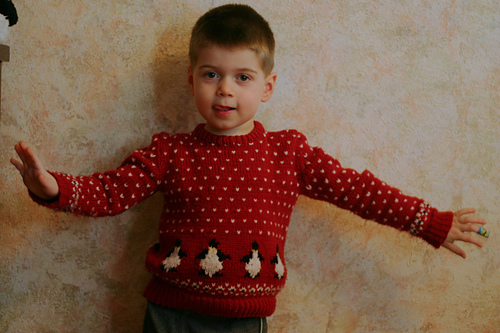 Penguin Pullover