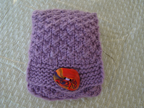 iPod Touch Cozy