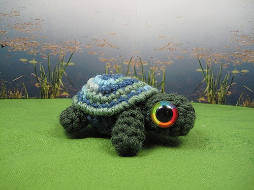 Turtle or Tortoise