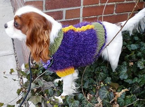 Dog's Knitted Sweater A-295