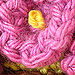 Amigurumi Potted Plant photo 4