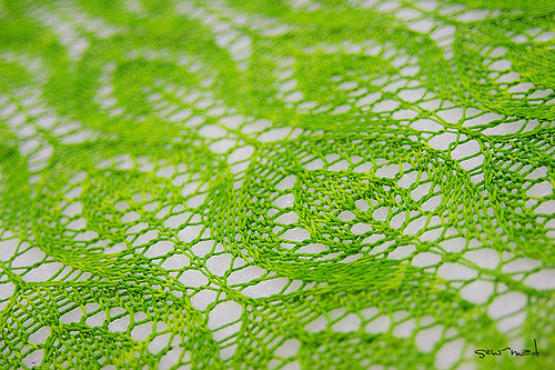 Spring Leaves photo 8