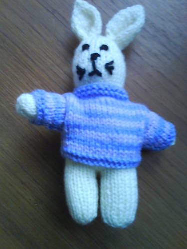 Bunny in a jumper