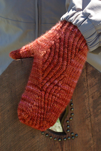 Squiggle Mittens/Mitts