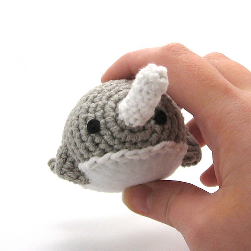 Narwhal