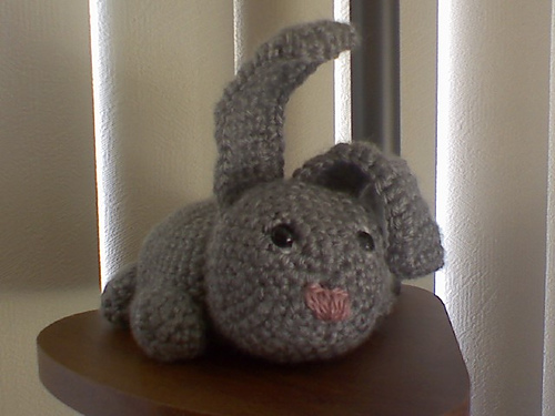 Bunny rabbit