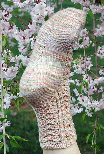 Nancy's Fancy Socks photo 2