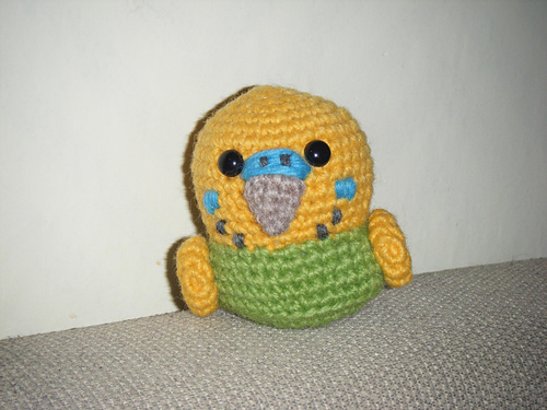 Cute Little Budgie