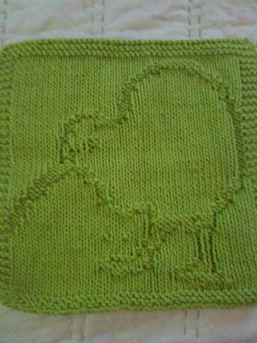 Kiwi Bird Dishcloth