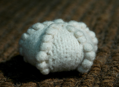 Sea Urchin