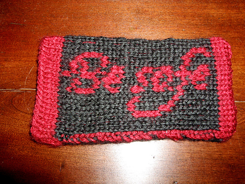 Twilight Inspired iPhone/iPod Touch Socks photo 3