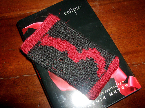 Twilight Inspired iPhone/iPod Touch Socks photo 2