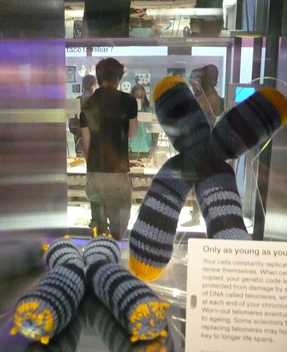 Make your own chromosome photo 1