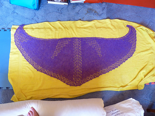 Purple Bubbles Shawl