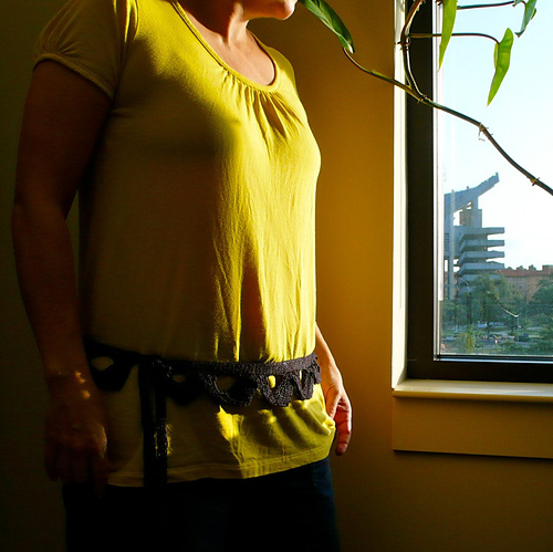 Linking Hip Sash