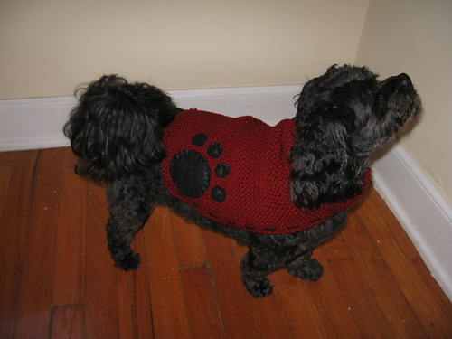 Garter Stitch Topper with Easy Embroidery