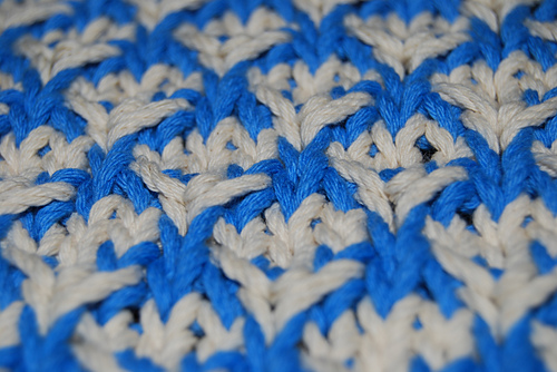 Fireflowers Dishcloth