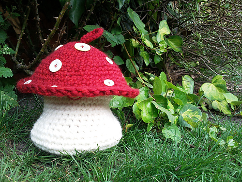 Toadstool / Mushroom Project Pouch