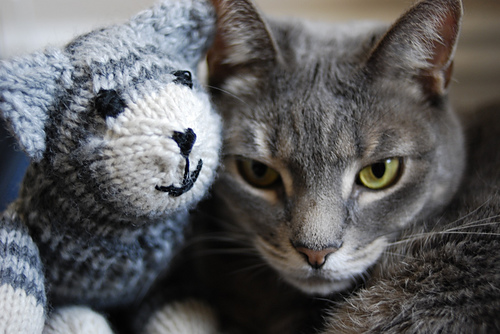 Purrfect Kitty Sock Critter photo 3