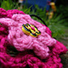 Pretty Flower Hair Bobble pattern 
