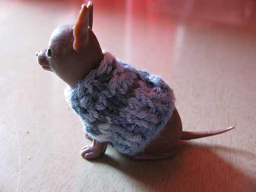 Chihuahua Sweater for Blythe's Pet, 2.0 photo 2