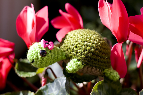 Pania the Amigurumi Turtle