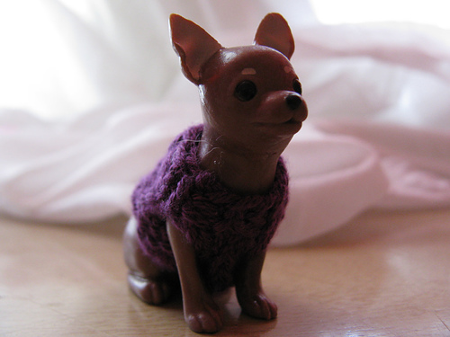 Chihuahua Sweater for Blythe's Pet photo 1