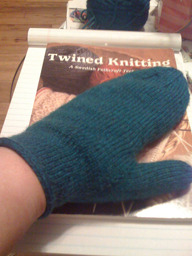 Warm Twisty Mittens 